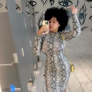 Meet your Posher, Timeless